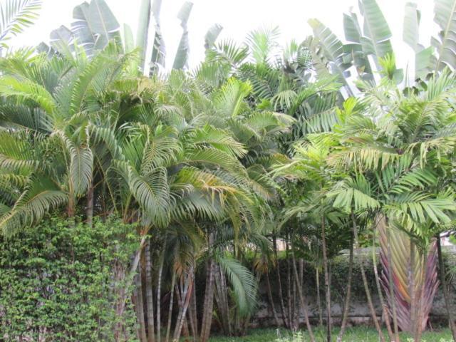 B&B Forest Hill Khao Yai Noen Hom Exterior foto